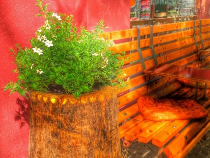Foto: Puschkin